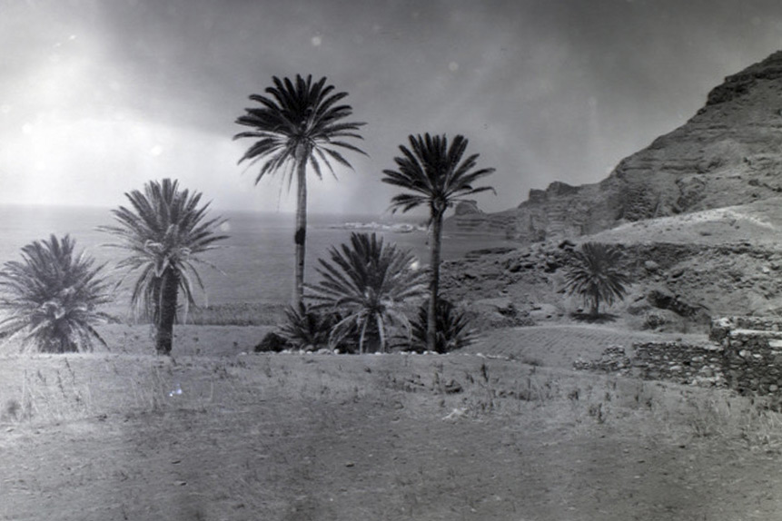 Agricultura y abandono