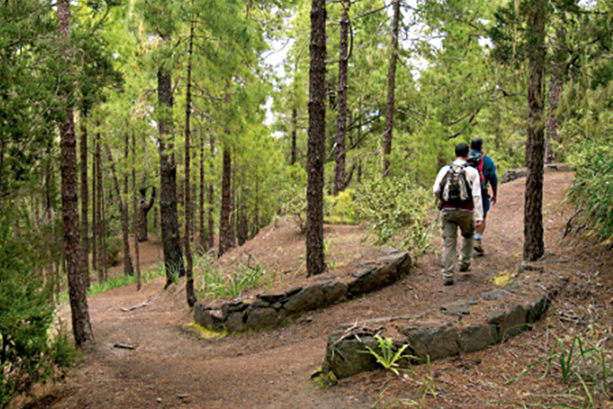 Parque Natural de Tamadaba