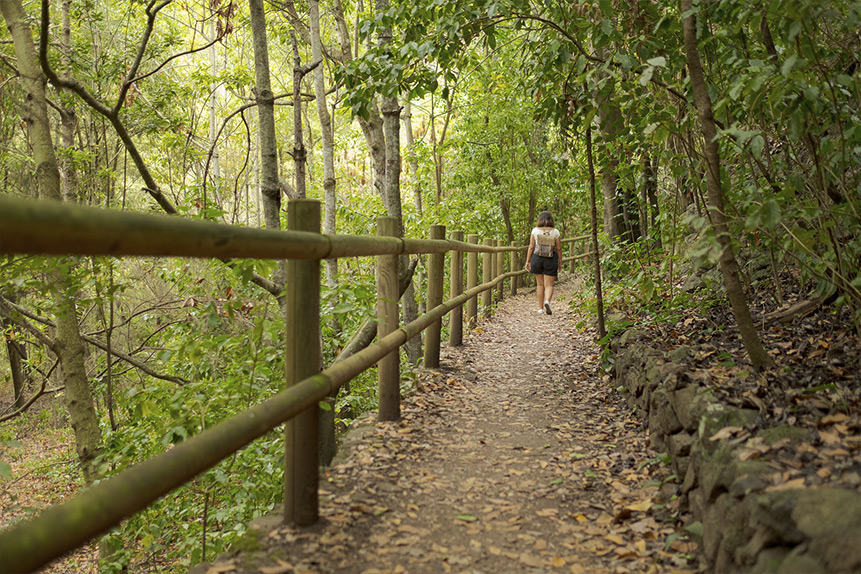 Reserva Natural Tilos de Moya